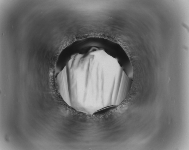 X0000096390192200802141504