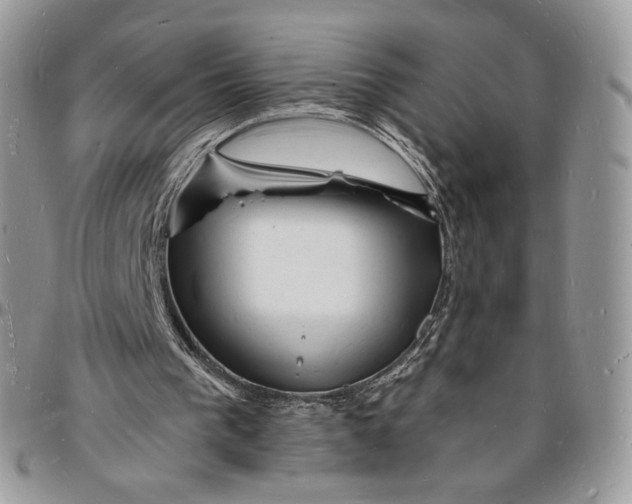 X0000096390193200802141503