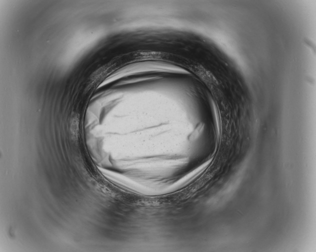 X0000096390194200802141503