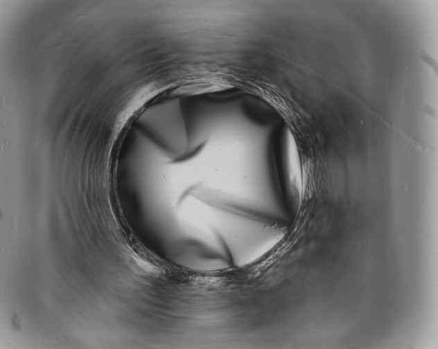 X0000096390195200802141503