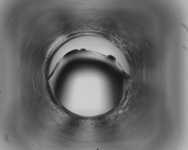X0000096390197200802141503