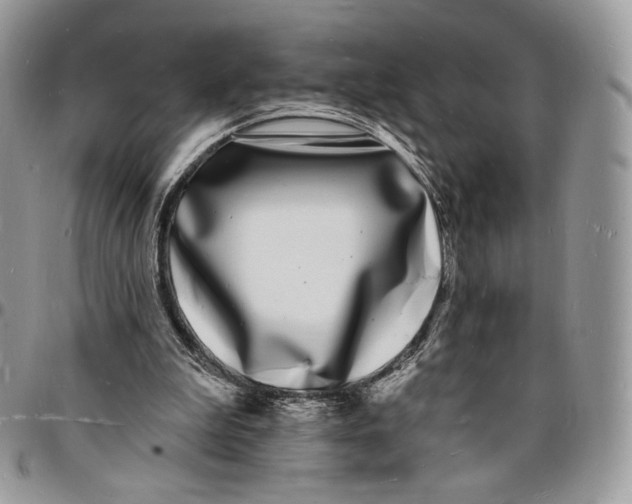 X0000096390199200802141503