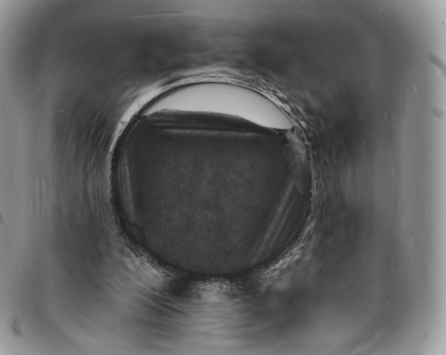 X0000096390200200802141503