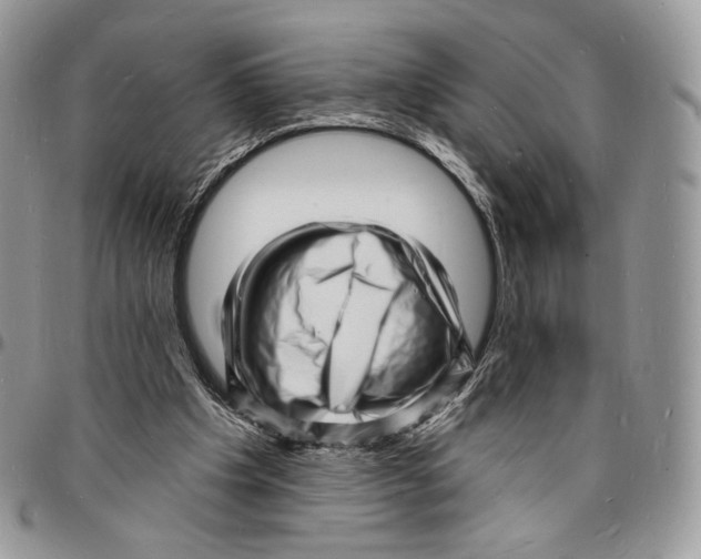X0000096390201200802141503