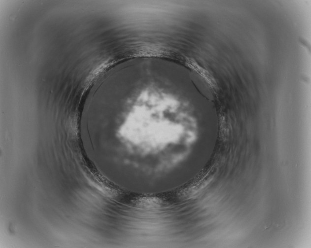 X0000096390203200802141503