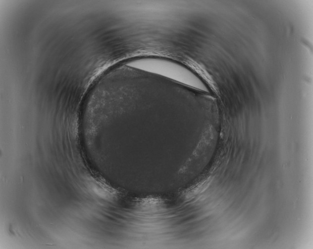 X0000096390204200802141503
