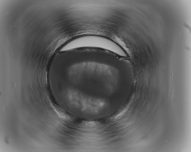X0000096390205200802141503