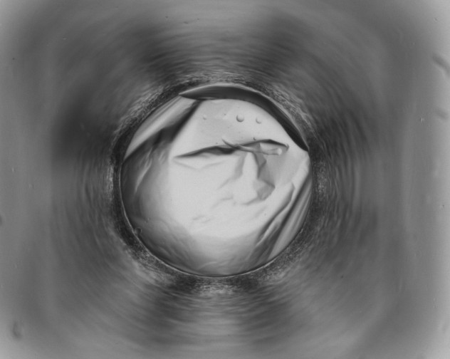 X0000096390206200802141503