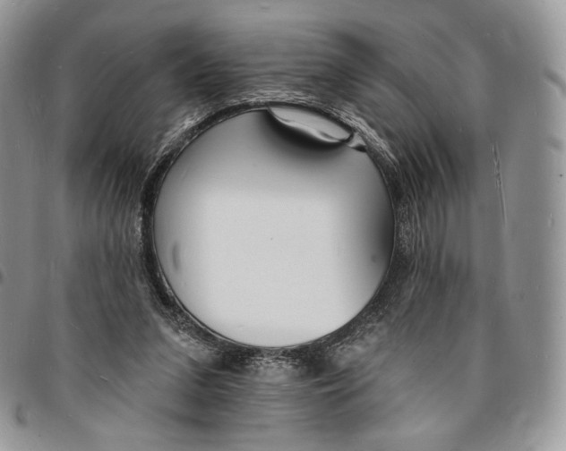 X0000096390207200802141503