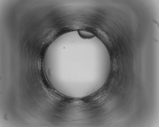 X0000096390210200802141503