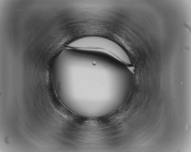 X0000096390211200802141503