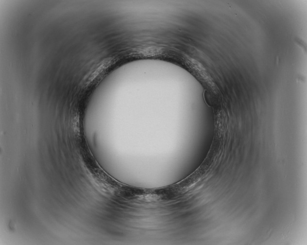 X0000096390212200802141503