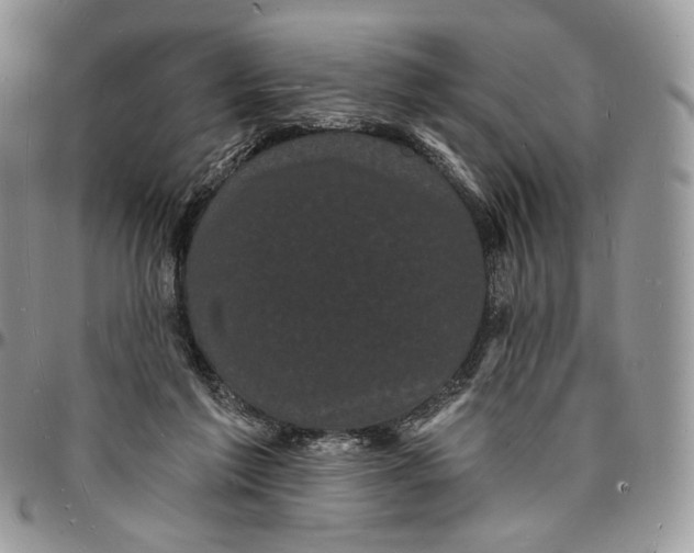 X0000096390213200802141503