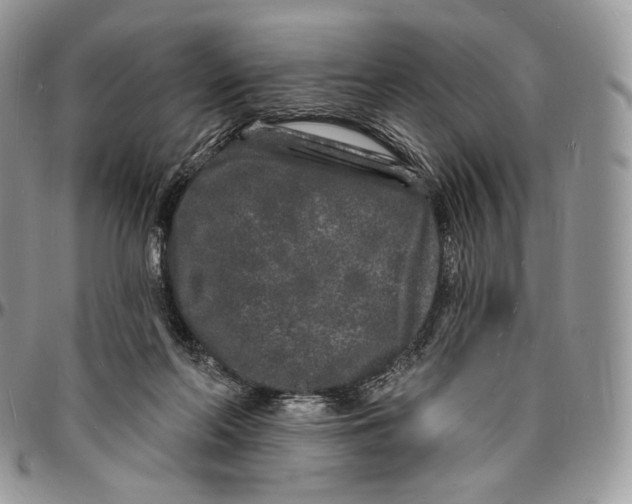 X0000096390214200802141503