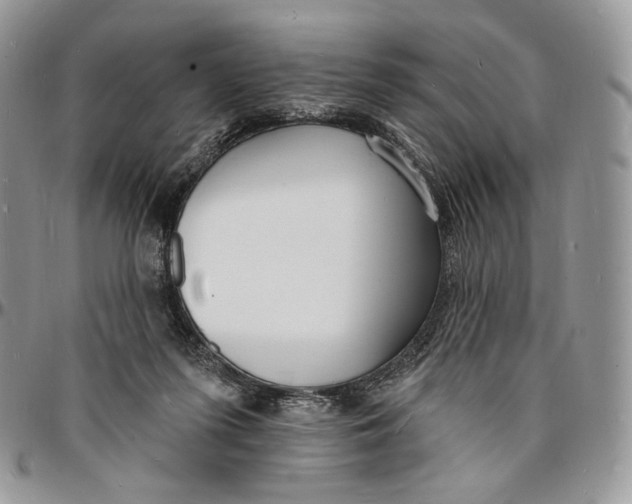 X0000096390215200802141503