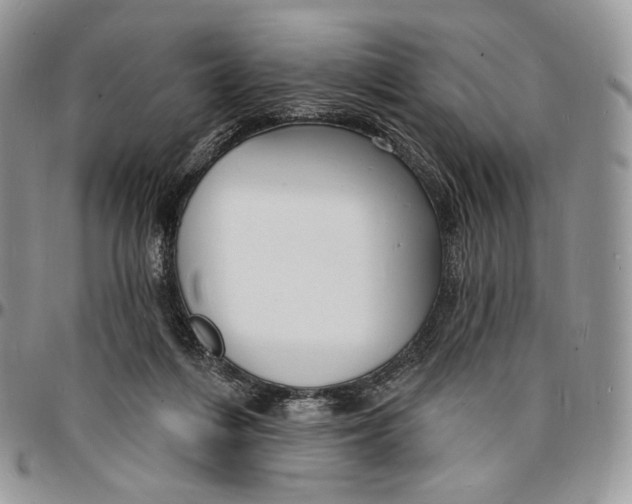 X0000096390216200802141503