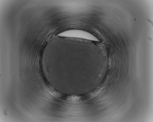 X0000096390217200802141503