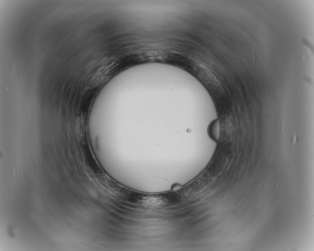 X0000096390218200802141503
