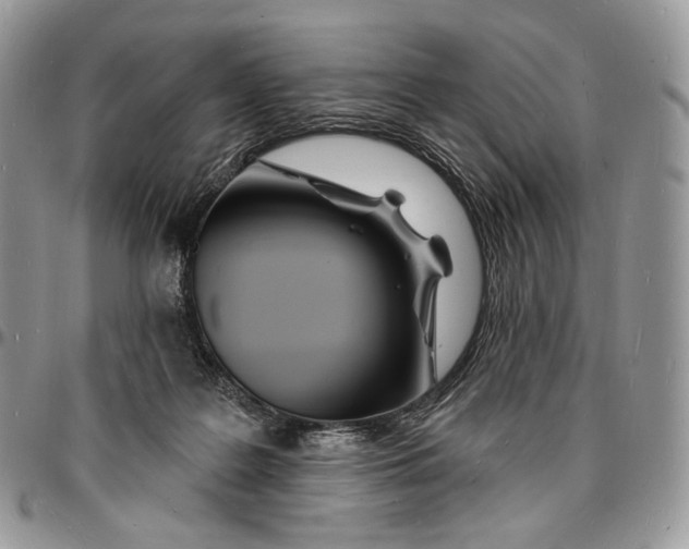 X0000096390219200802141503