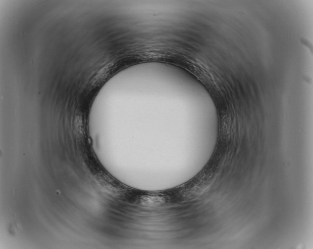 X0000096390220200802141503