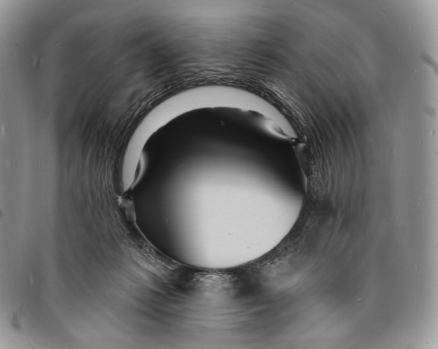 X0000096390221200802141503