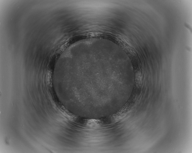 X0000096390222200802141503