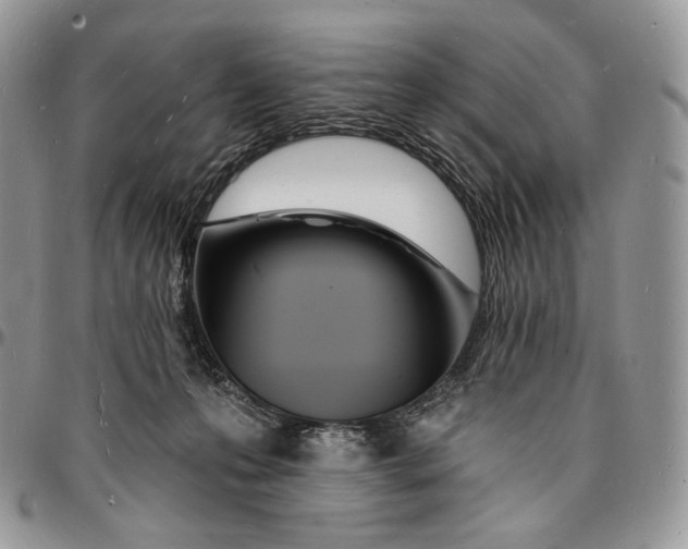 X0000096390223200802141503