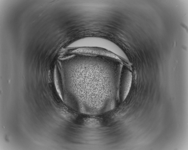 X0000096390224200802141503