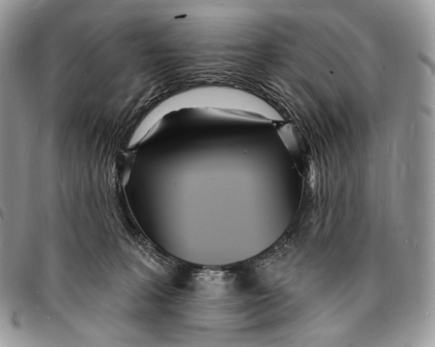 X0000096390227200802141502