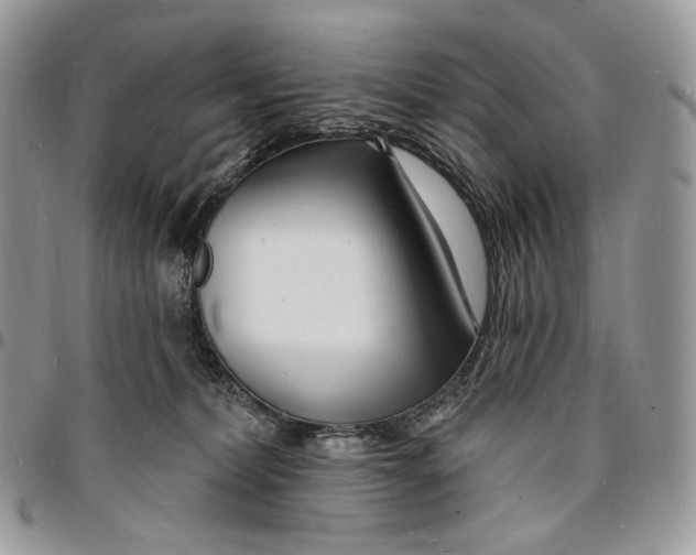 X0000096390228200802141502