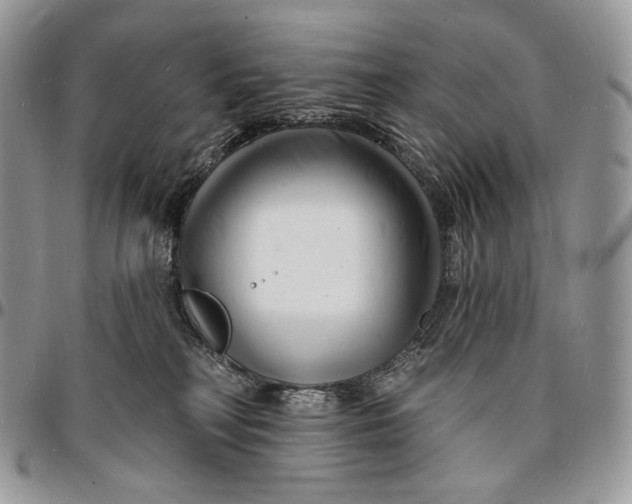 X0000096390230200802141502