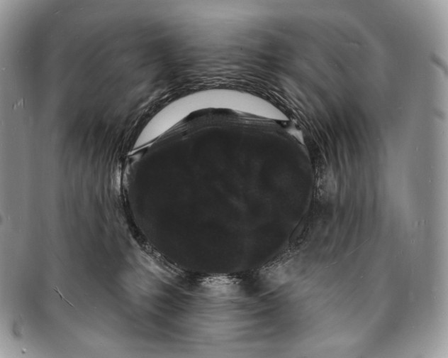 X0000096390231200802141502