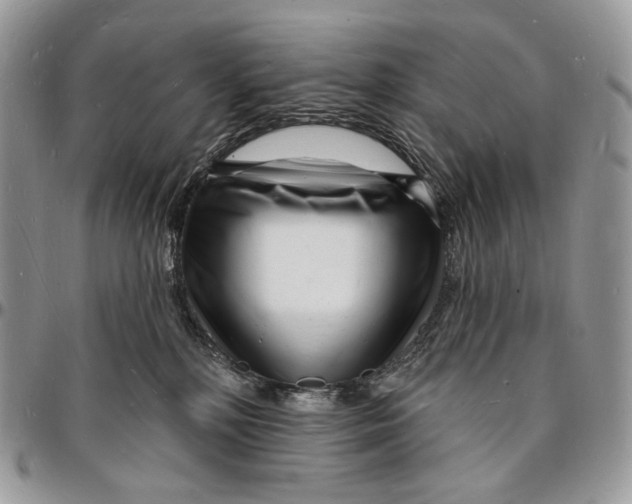 X0000096390232200802141502