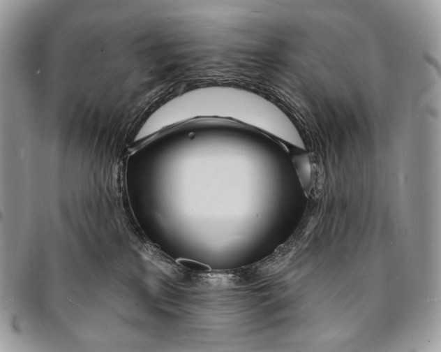 X0000096390233200802141502