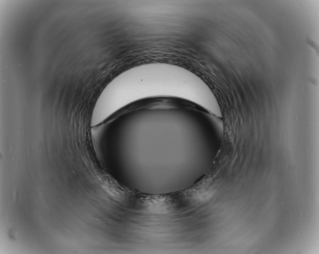 X0000096390235200802141502
