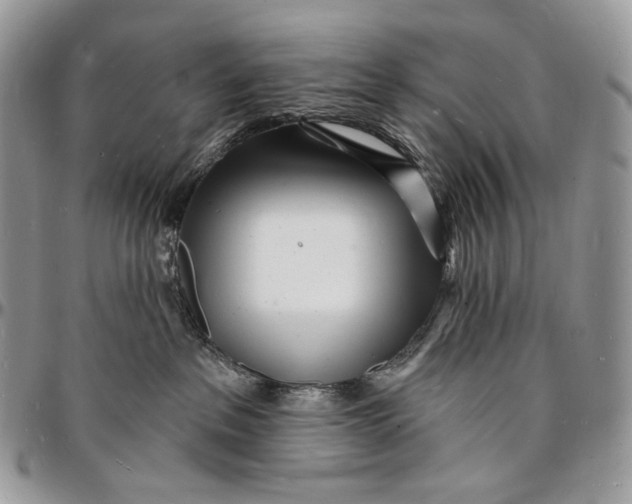 X0000096390237200802141502