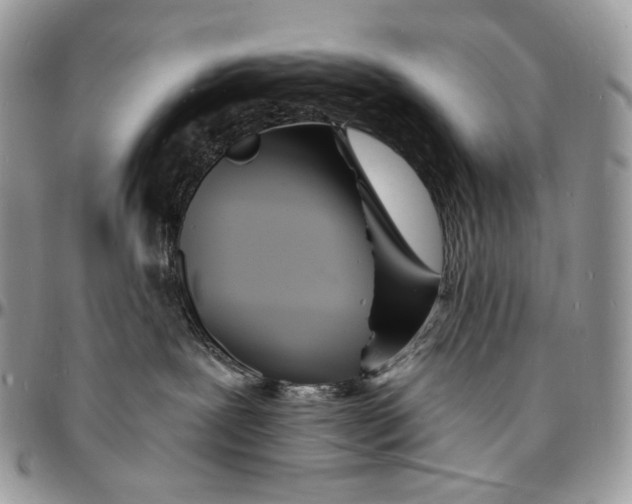 X0000096390239200802141502
