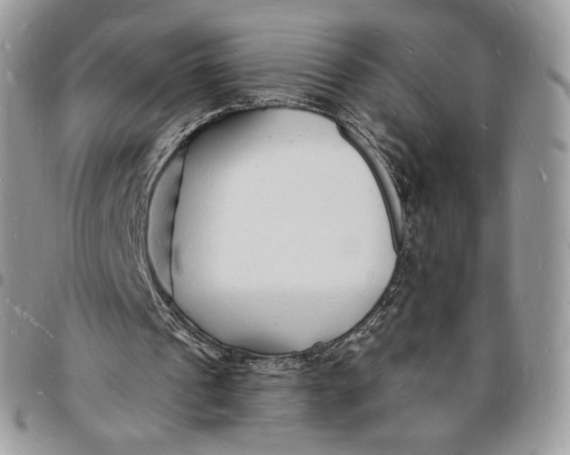 X0000096390241200802141502