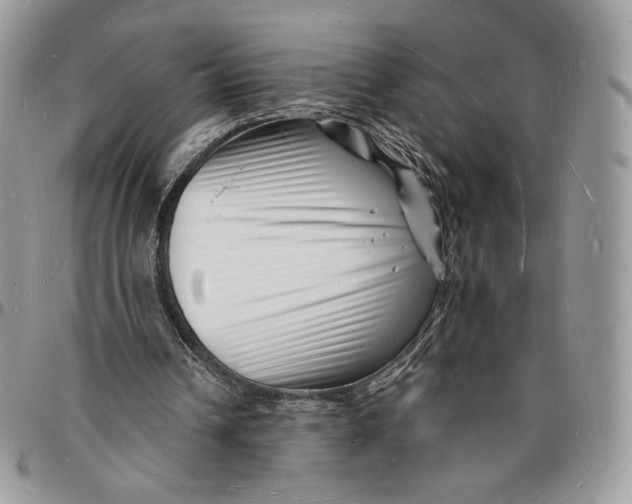 X0000096390242200802141502