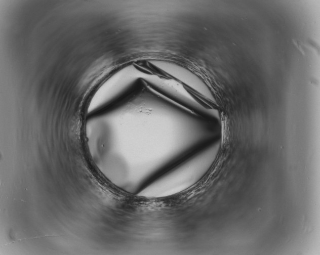 X0000096390243200802141502