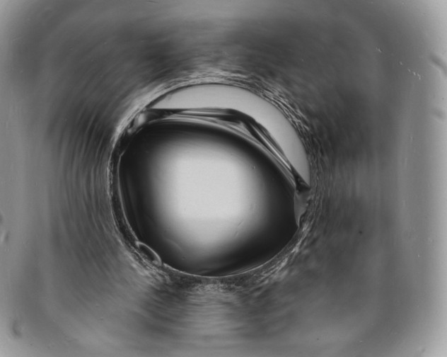 X0000096390244200802141502