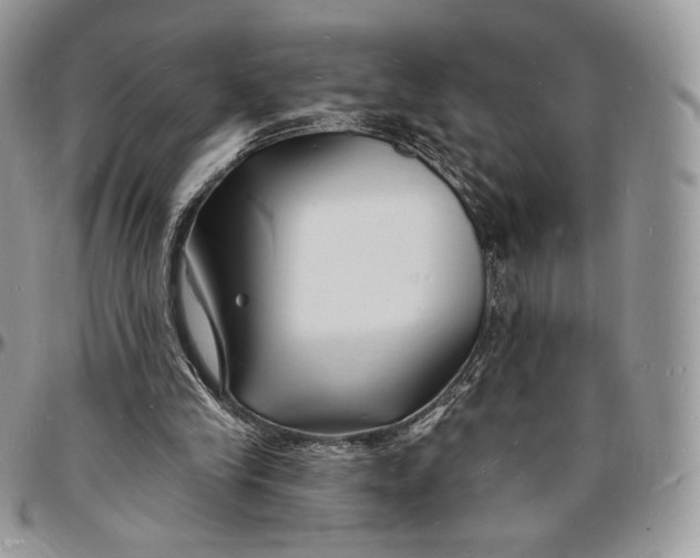 X0000096390245200802141502