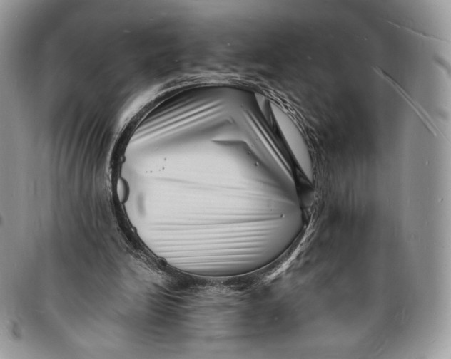 X0000096390246200802141502