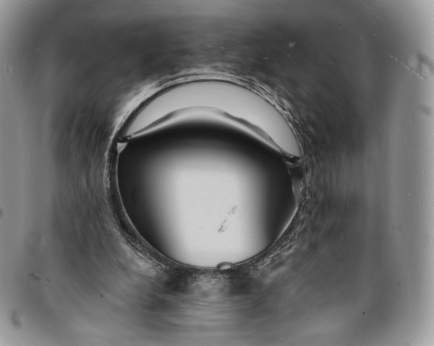 X0000096390248200802141502