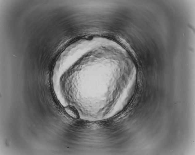 X0000096390249200802141502