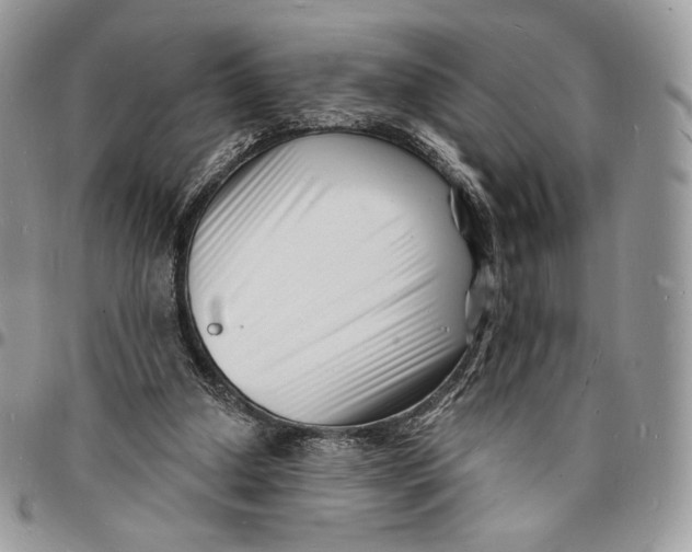 X0000096390250200802141502