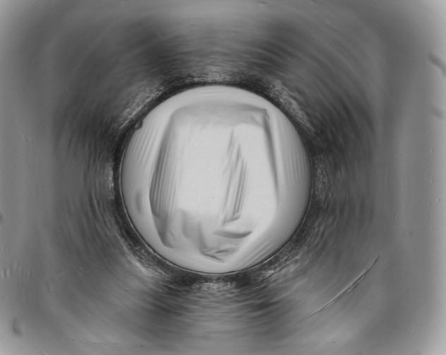 X0000096390251200802141502