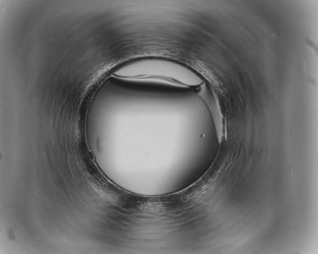 X0000096390252200802141502