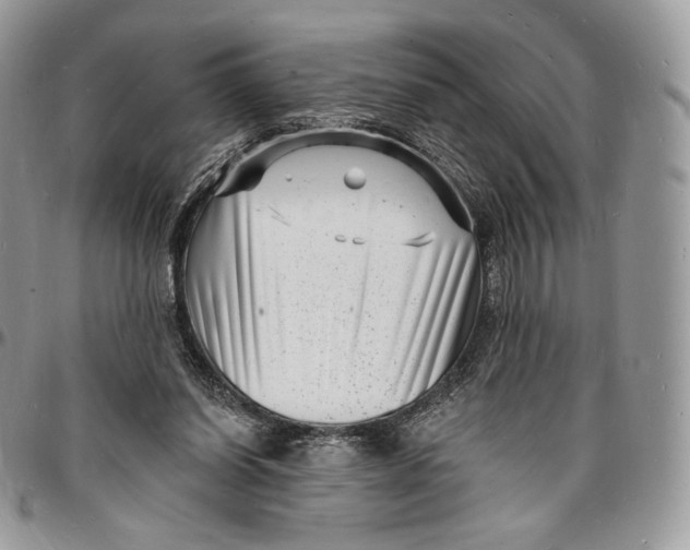 X0000096390254200802141502
