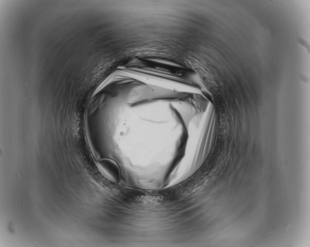 X0000096390255200802141502
